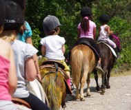 promenade en poney